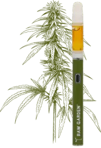 Raw Garden Live Resin LA Cartridge with tropical terpenes – solventless, lab-tested vape